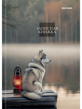 ЗАПИСНАЯ КНИЖКА. А6 64л. AESTHETICS ЗК64-3035