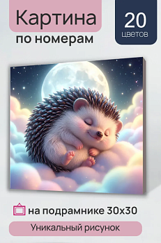 Холст с красками 30х30 см по номерам (в коробке) Сладкий сон ёжика ХК-7303